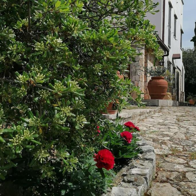 Casa Marisa Villa Vacanza カステッラーナ・グロッテ エクステリア 写真