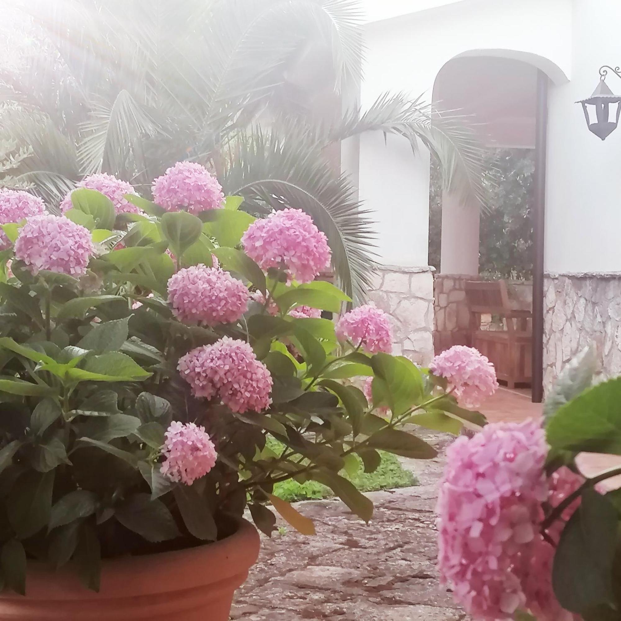 Casa Marisa Villa Vacanza カステッラーナ・グロッテ エクステリア 写真